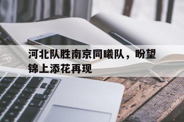 河北队胜南京同曦队，盼望锦上添花再现